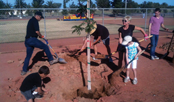 Class XXVII (2011-2012) Trees & Trails Project: The Trees & Trails Project, a collaborative community effort, raised almost $10,000 to re-forest 37 dead or dying trees in Tempe’s Kiwanis Park and create a half-mile, tree-themed learning trail. Remaining funds went to Trees for Tempe for future arbor care and tree replacements in the city’s parks.