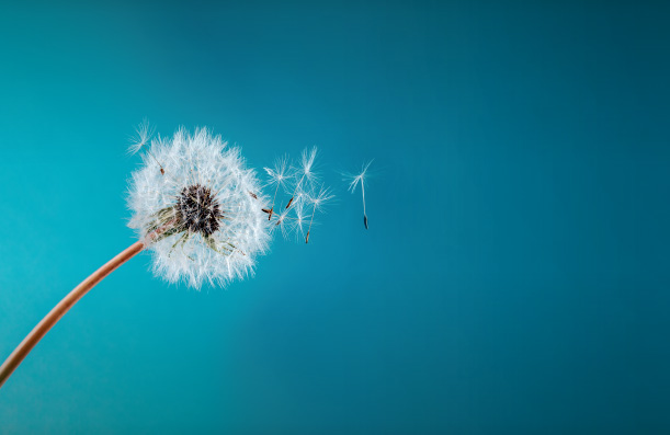 In Business Magazine of Greater Phoenix - March 2026 Cover